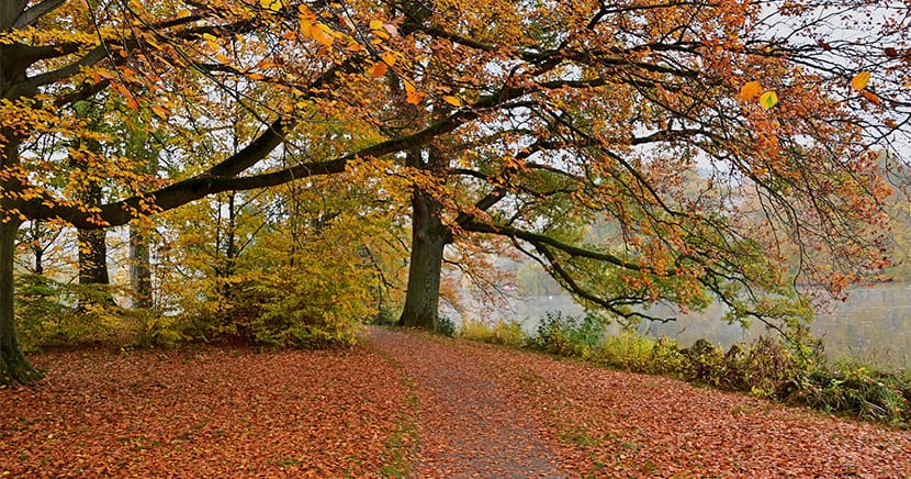 Praxis Prinzipalmarkt muss zu bleiben- der G7 Gipfel bremst uns aus!