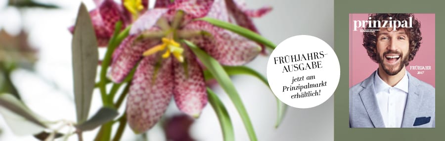 Informationen über unsere Praxis im neuen Prinzipal Heft!